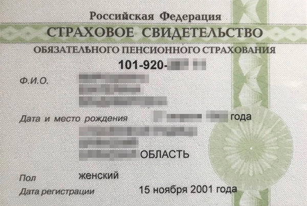 Возможные заголовки H1 и H2 для статьи о бланках обратной стороны карточки СНИЛС зелёного цвета